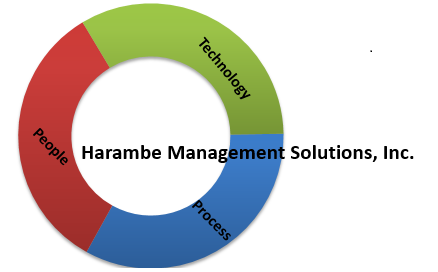 Harambe Management Solutions, Inc.